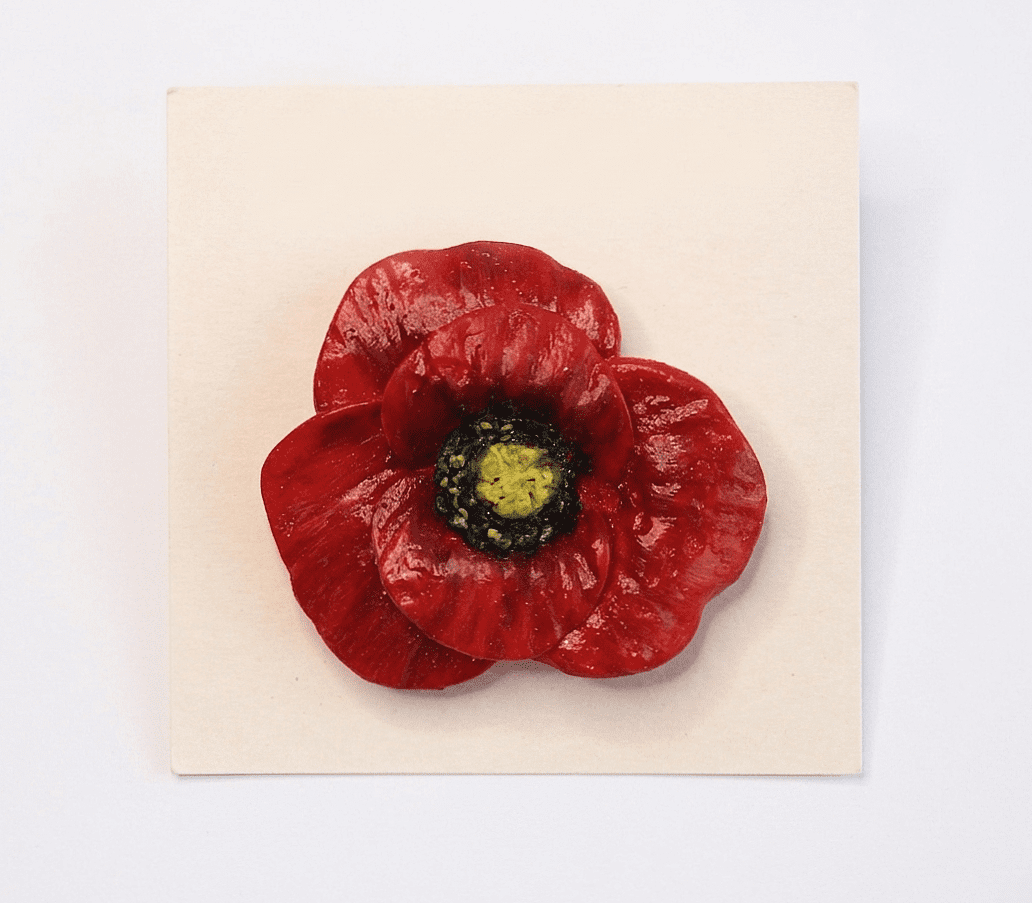 Sculpted Red Poppie Magnet | Rare Van Gogh Style Art 2026